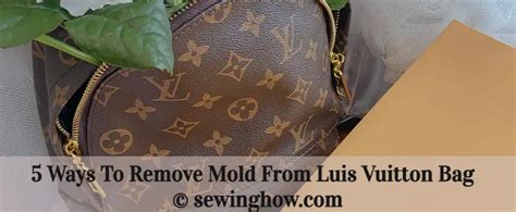 louis vuitton bag removed from letgo|How To Remove Mold From Louis Vuitton Bag.